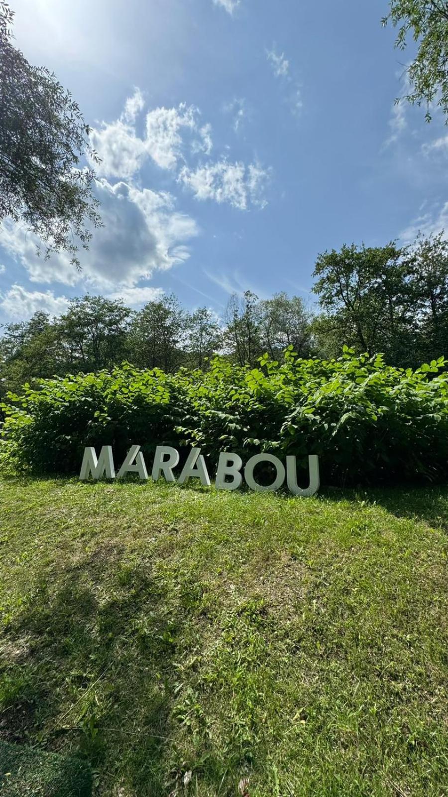 Marabou Resort Braşov Eksteriør billede