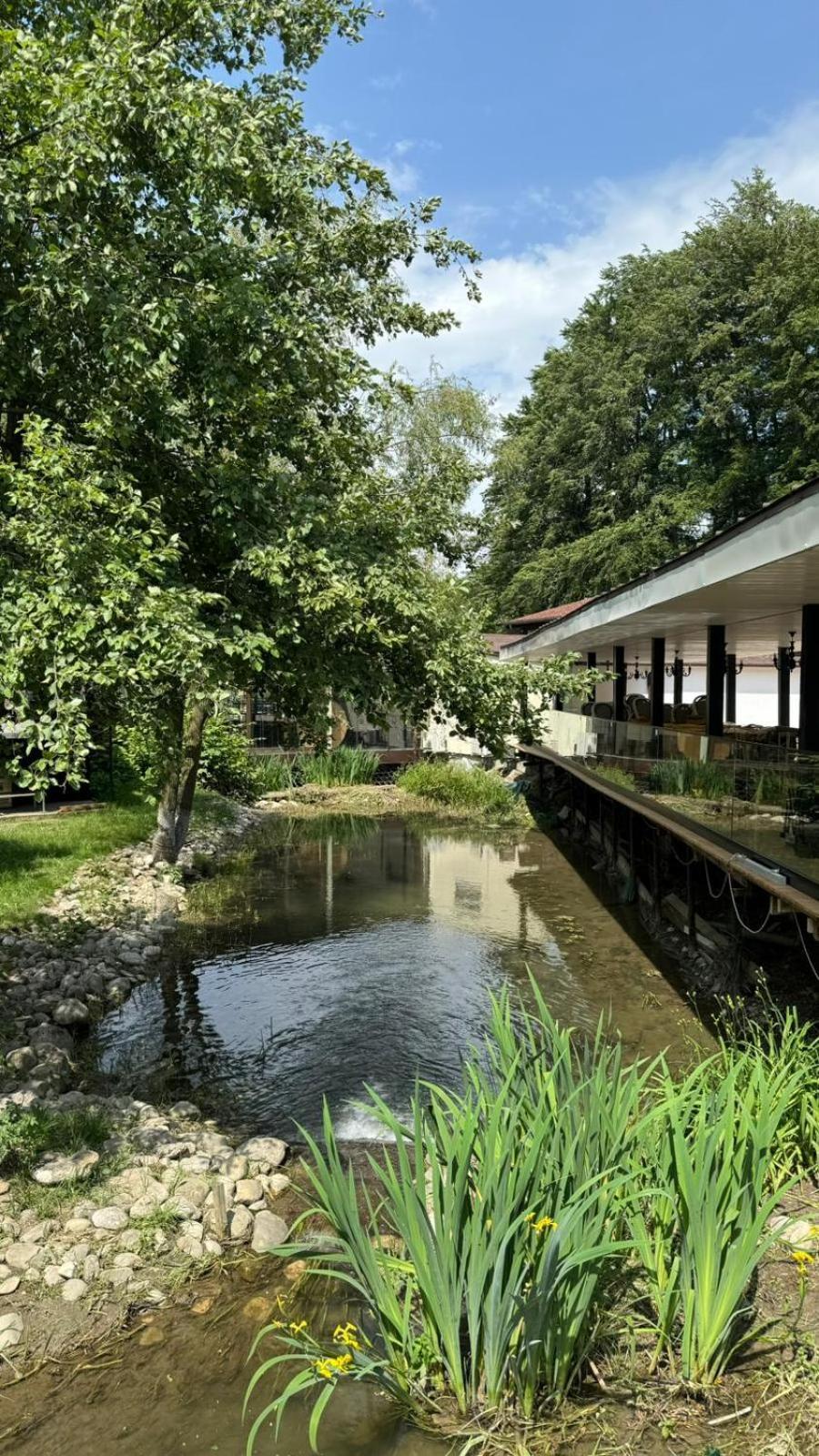 Marabou Resort Braşov Eksteriør billede